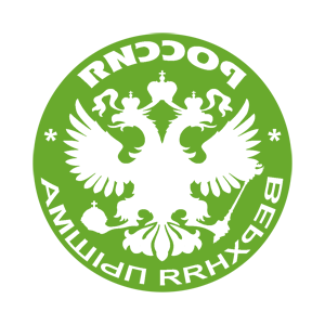    -    (Verkhnyaya Pyshma) -   133 .