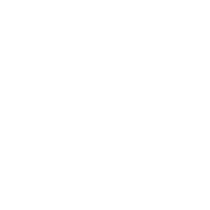        (Verkhnyaya Pyshma) -   133 .
