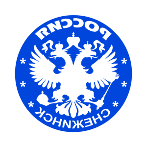       (Snezhinsk) -   133 .
