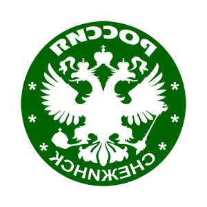       (Snezhinsk) -   133 .