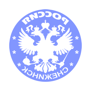       (Snezhinsk) -   133 .