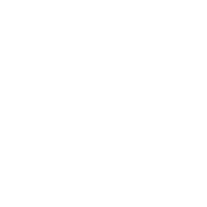      (Zhukovskiy) -   133 .