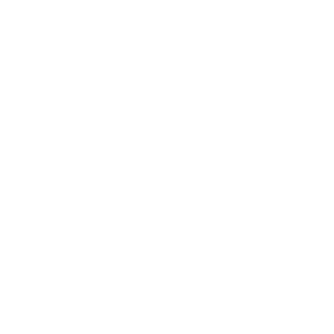       (Dolgoprudnyy) -   133 .