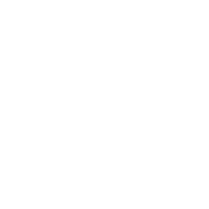        (Novyy Urgal) -   133 .