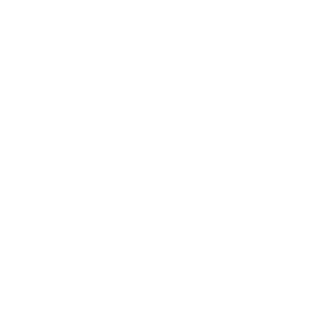       (Salekhard) -   133 .