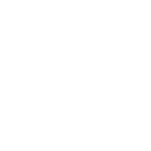       (Almet'evsk) -   133 .