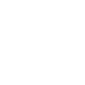       (Dzerzhinsk) -   133 .