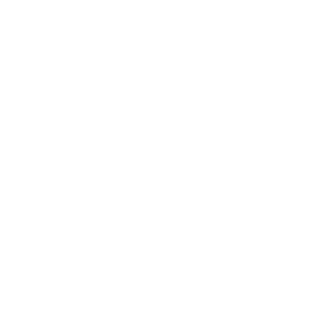      Gangnam Style -   100 .
