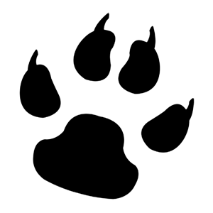        -   36 .