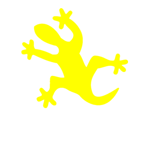       -   25 .