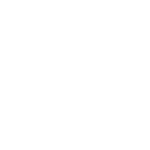   (Nizhnekamsk)