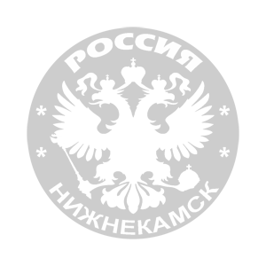   (Nizhnekamsk)