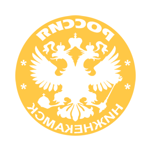 ����������� �� ����������� ������� �������� ����������� (Nizhnekamsk)� - ������ �� 133 ���.