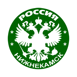   (Nizhnekamsk)