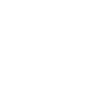       (Novocheboksarsk) -   133 .