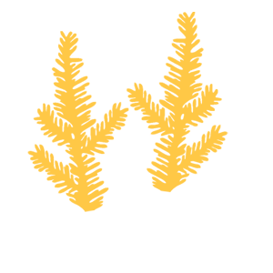        -   187 .