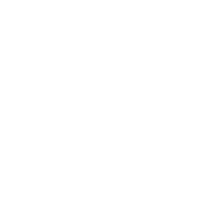       (Lukhovitsy) -   133 .