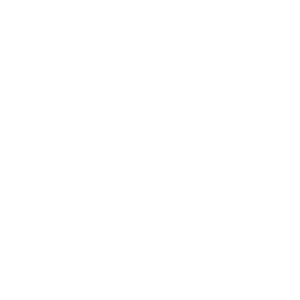       (Dalmatovo) -   133 .