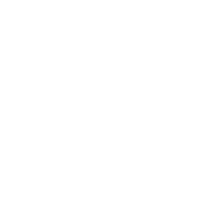        (Vyshniy Volochek) -   133 .