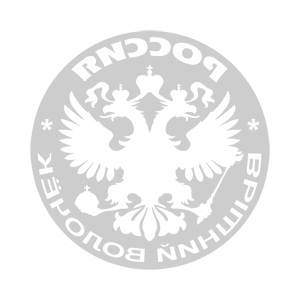    -    (Vyshniy Volochek) -   133 .