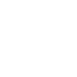       (Khasavyurt) -   133 .