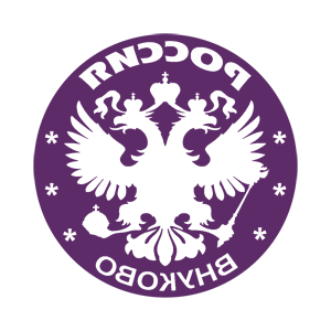       (Vnukovo) -   133 .