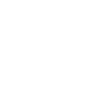       (Novomichurinsk) -   133 .