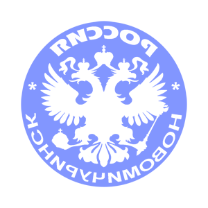      (Novomichurinsk) -   133 .