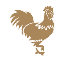    -    -   81 .