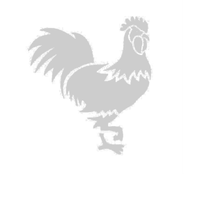        -   81 .