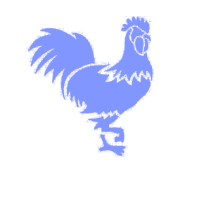       -   81 .