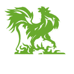 ����������� �� ����������� ������-������� �������� ���� ������ - ������ �� 133 ���.