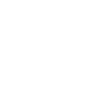      (diesel) -   65 .