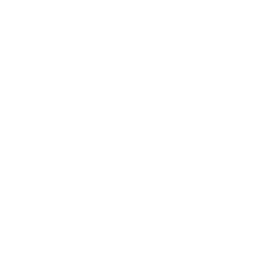         -92-95 -   65 .