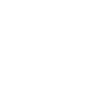       (Gryazovets) -   133 .
