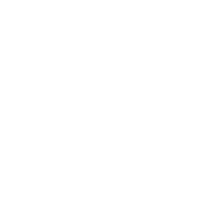         -   161 .