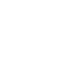         (shoot like a girl) -   110 .