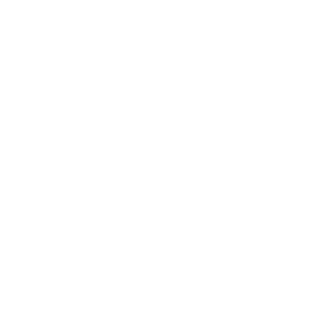       10% -   110 .
