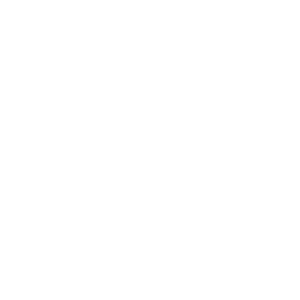     10% -   110 .