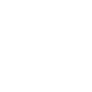     100% -   110 .