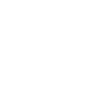      - (Kirovo-Chepetsk) -   133 .