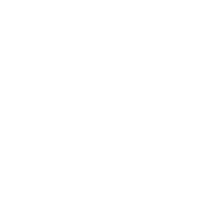         -   133 .
