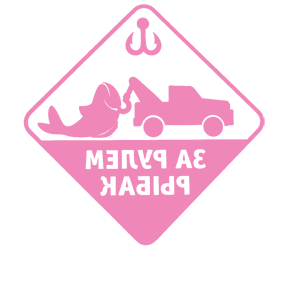         -   133 .