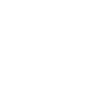         -   133 .