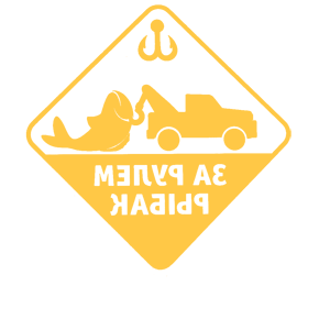         -   133 .
