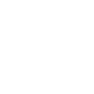      ISO 9000:2000 -   141 .