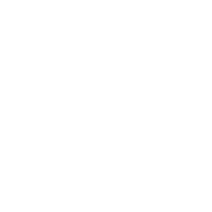        -   131 .