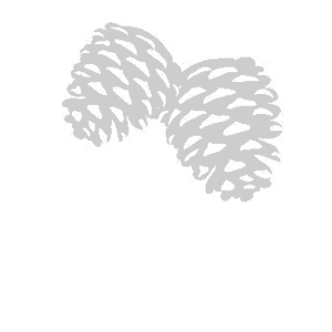    -   94 .