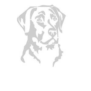       -   75 .