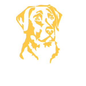       -   75 .